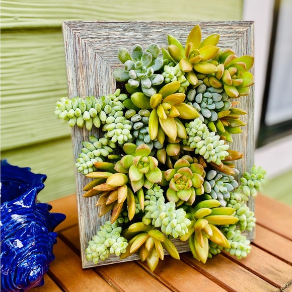 5x7 Portrait Gardens Vertical Planter 🌱 - Picture 1 of 6